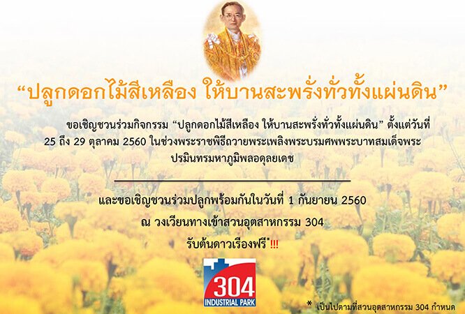 Plant yellow flowers to bloom throughout the land