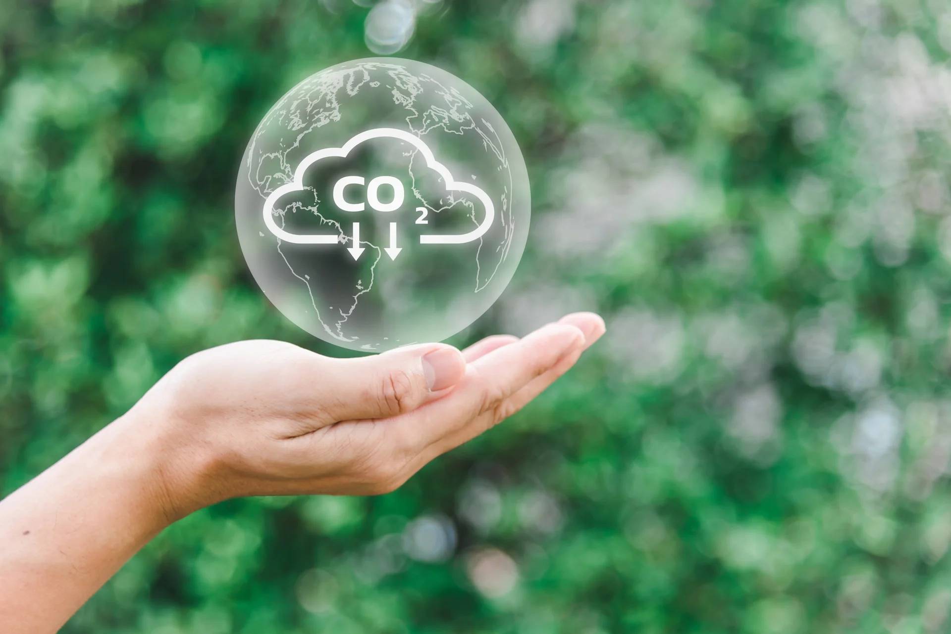 生质能：新世代工业的洁净能源