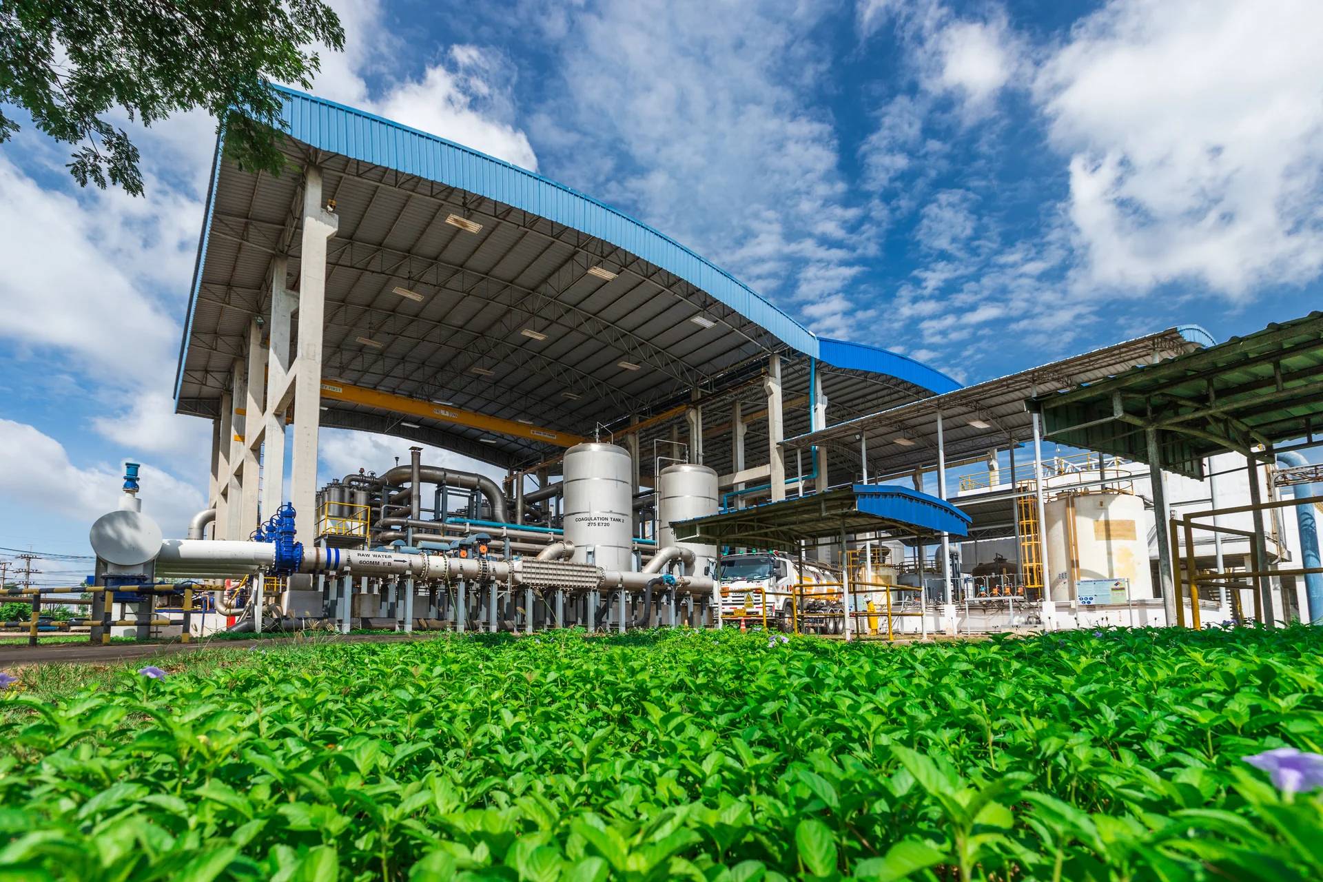 Environmental Sustainability